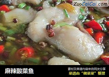 麻辣酸菜鱼
