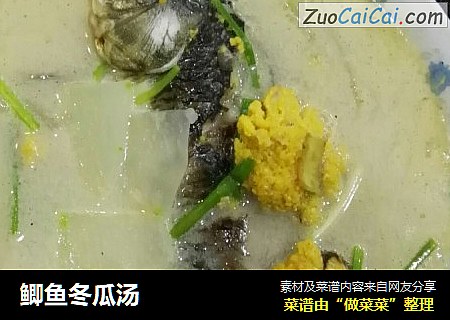 鲫鱼冬瓜汤