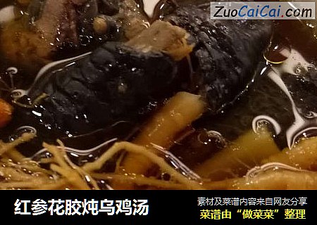 红参花胶炖乌鸡汤