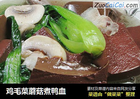 鸡毛菜蘑菇煮鸭血