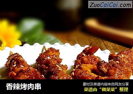香辣烤肉串