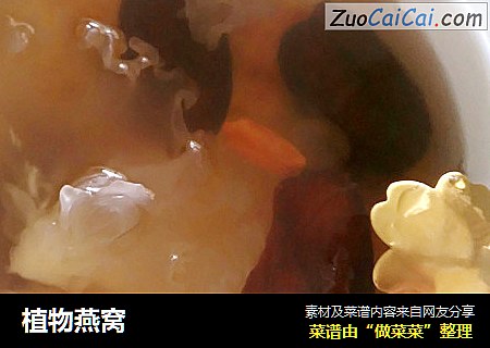 植物燕窝