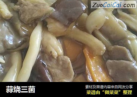 蒜烧三菌