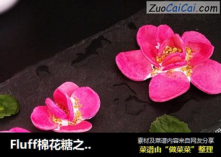 Fluff棉花糖之出水芙蓉饼干