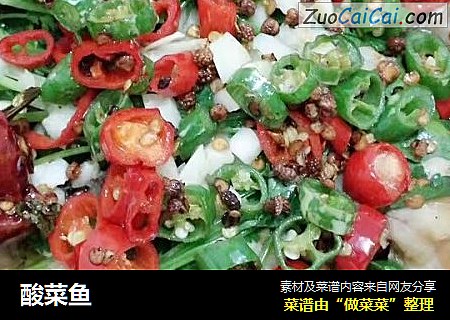 酸菜鱼