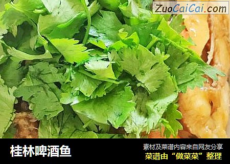 桂林啤酒鱼