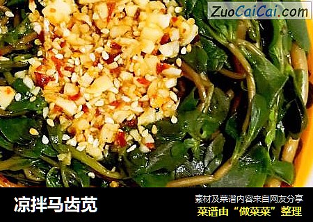 凉拌马齿苋