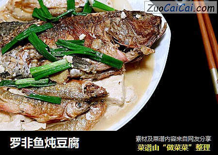 罗非鱼炖豆腐
