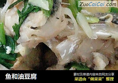 鱼和油豆腐