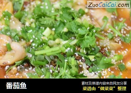 番茄鱼