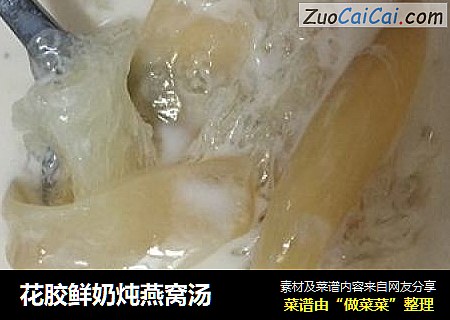 花胶鲜奶炖燕窝汤