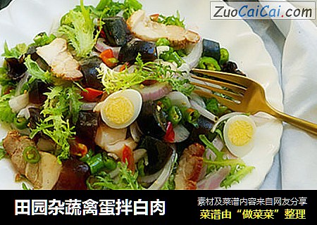 田园杂蔬禽蛋拌白肉