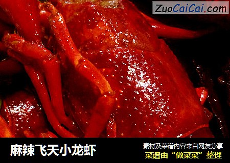麻辣飞天小龙虾