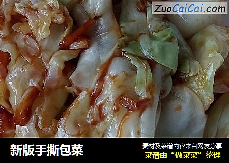 新版手撕包菜