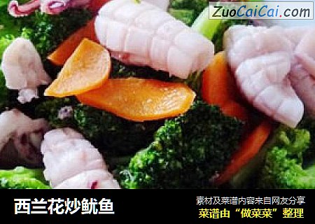 西兰花炒鱿鱼
