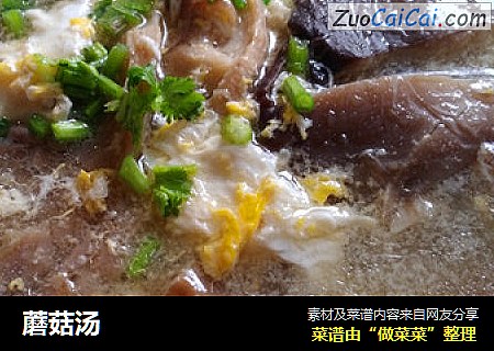 蘑菇汤