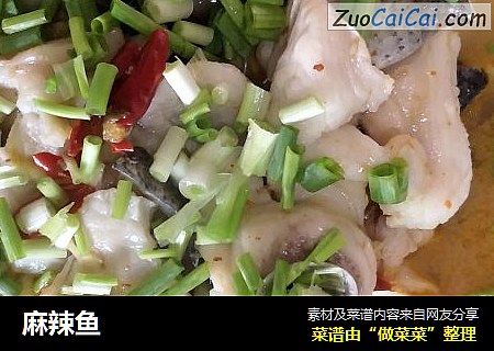 麻辣鱼