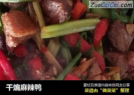 干煸麻辣鸭