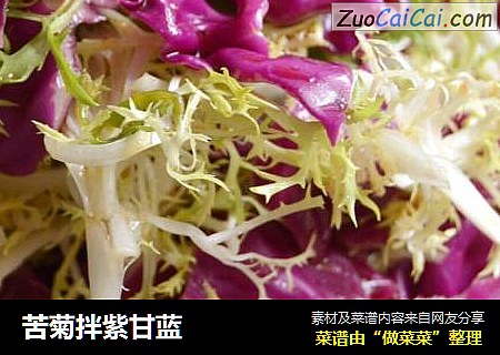 苦菊拌紫甘蓝