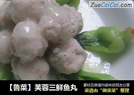 【鲁菜】芙蓉三鲜鱼丸