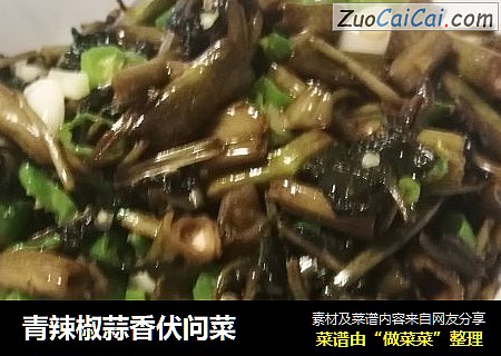 青辣椒蒜香伏问菜