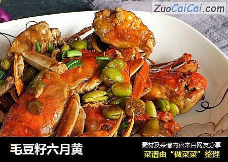 毛豆籽六月黄