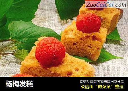 杨梅发糕