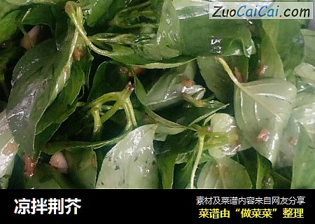 凉拌荆芥