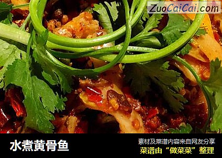 水煮黄骨鱼