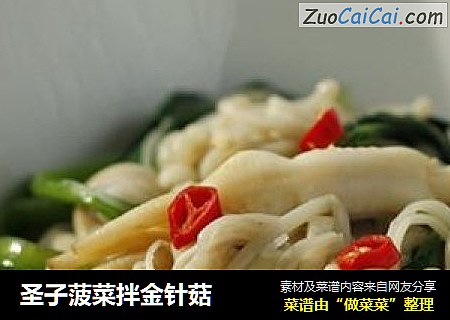 圣子菠菜拌金针菇