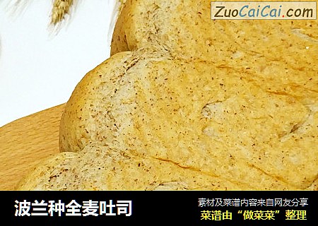 波兰种全麦吐司