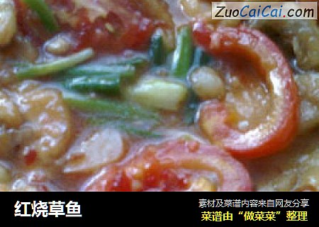 红烧草鱼