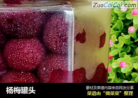 杨梅罐头