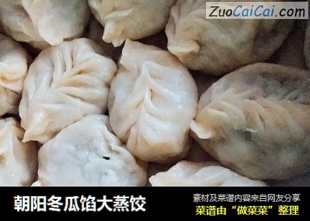 朝阳冬瓜馅大蒸饺