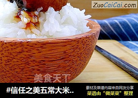 #信任之美五常大米试吃#照烧排骨饭（微波）