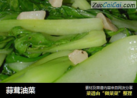 蒜茸油菜