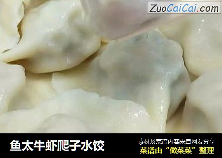 鱼太牛虾爬子水饺