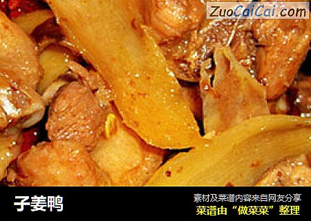 子姜鸭