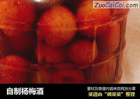 自制杨梅酒