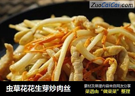 虫草花花生芽炒肉丝