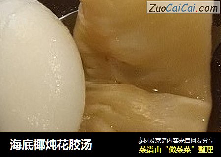 海底椰炖花胶汤