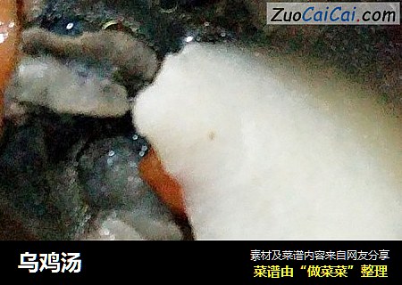 乌鸡汤