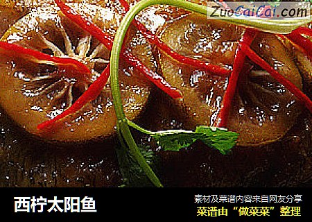 西柠太阳鱼
