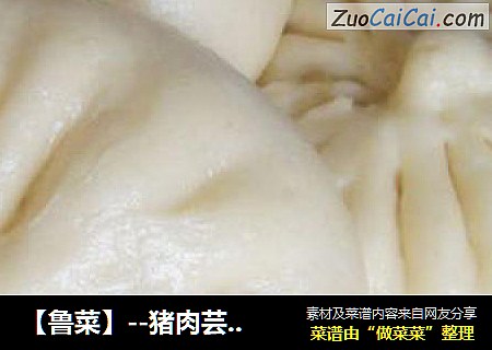 【鲁菜】--猪肉芸豆大包