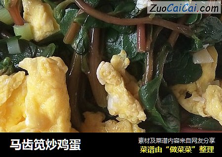 马齿笕炒鸡蛋