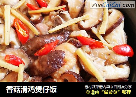 香菇滑鸡煲仔饭