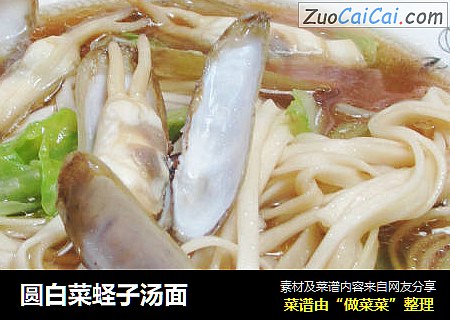 圆白菜蛏子汤面