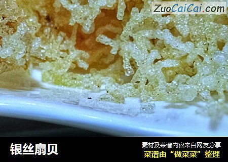 银丝扇贝