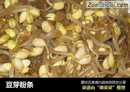 豆芽粉条