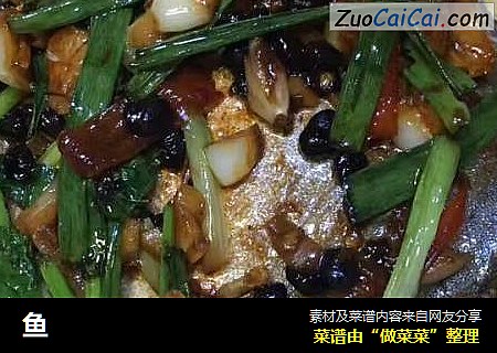 鱼